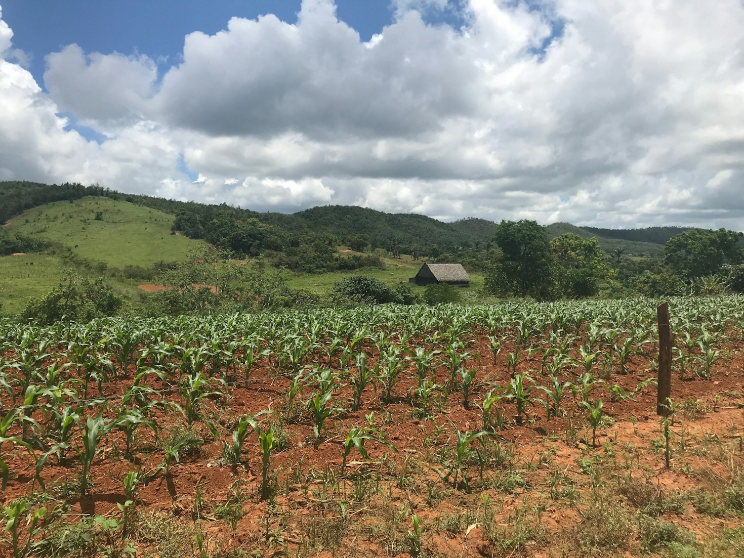 A Look at SIPEMI’s Women’s Empowerment Initiatives