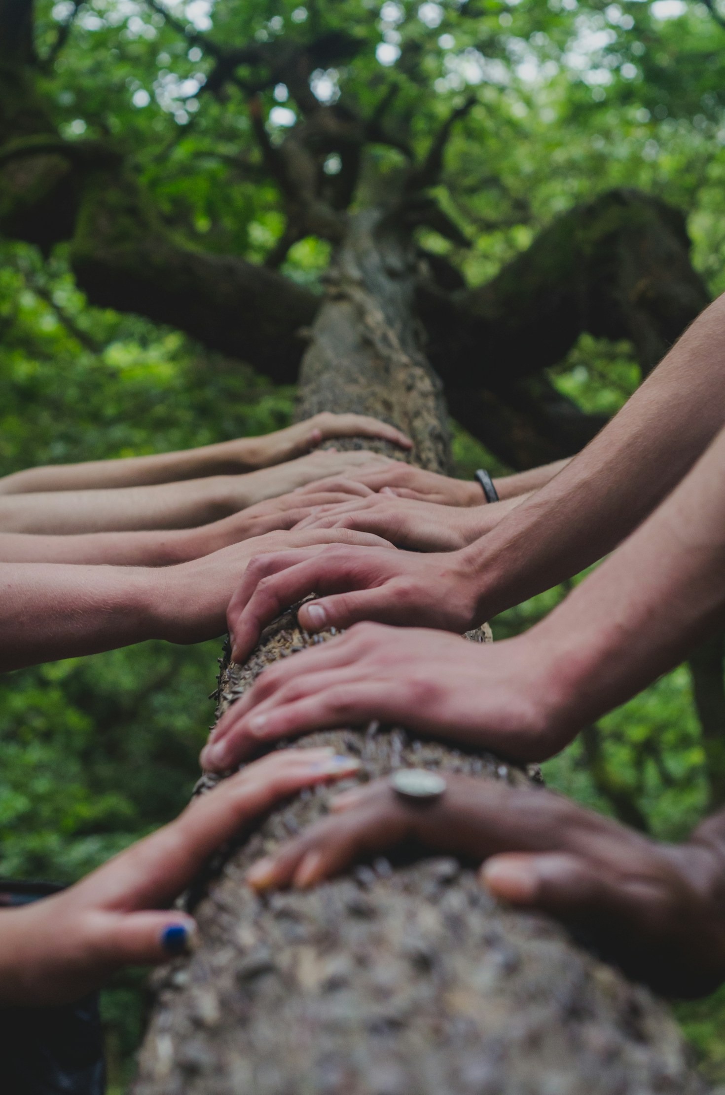 Environmental Protection Through Compassionate Ministry Efforts